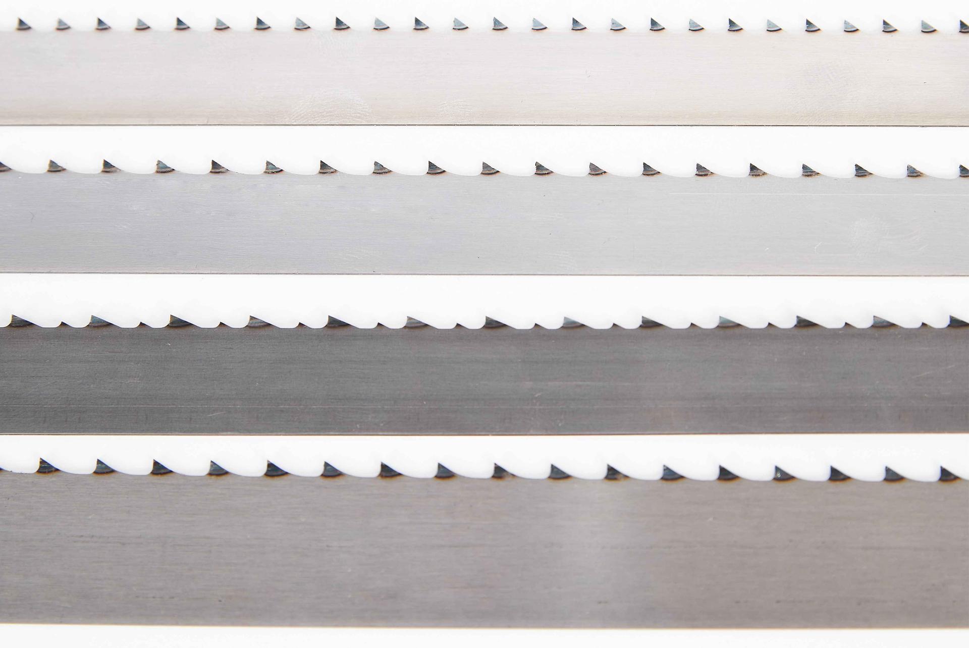 Meat and Fish Saws