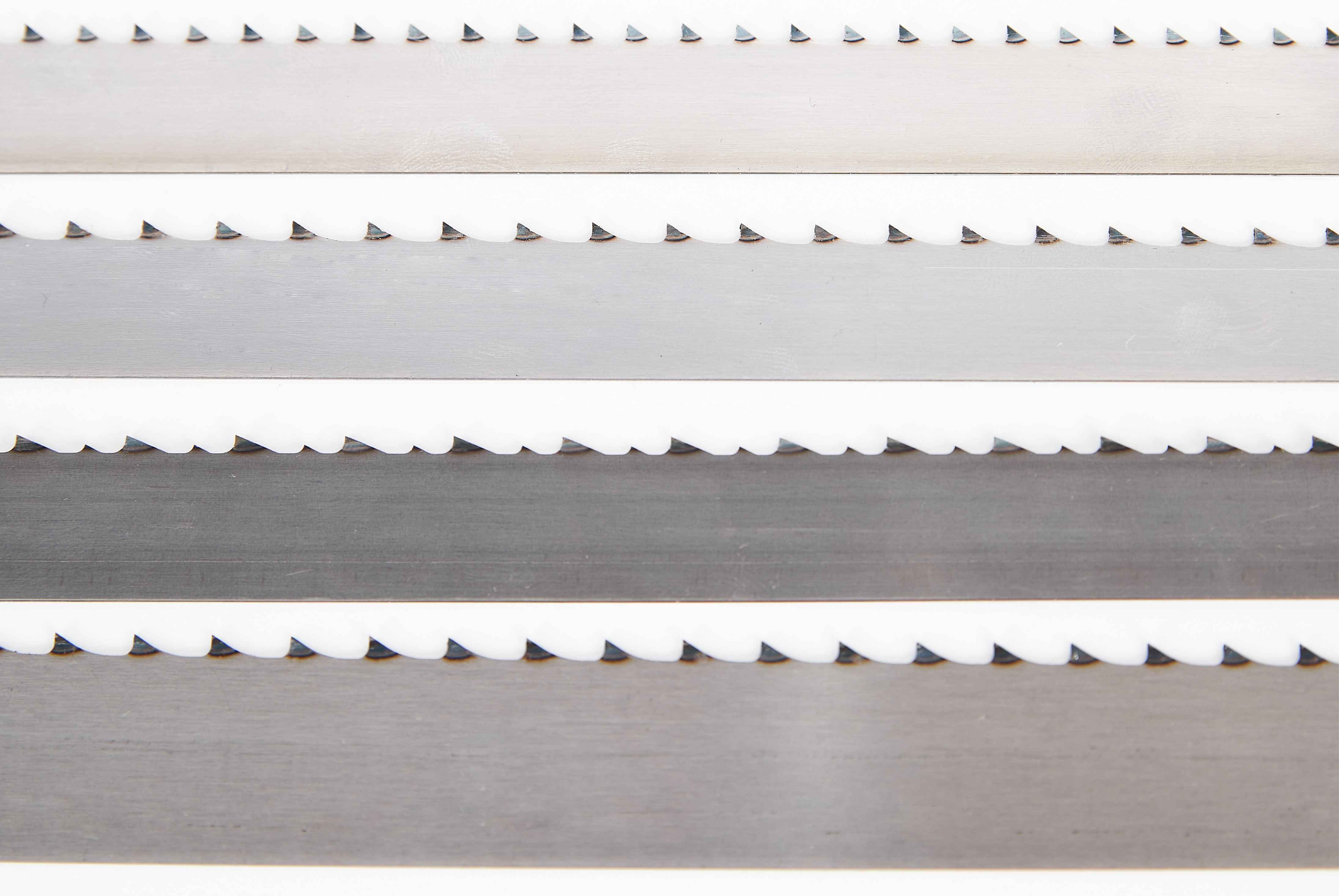 Meat and Fish Saws